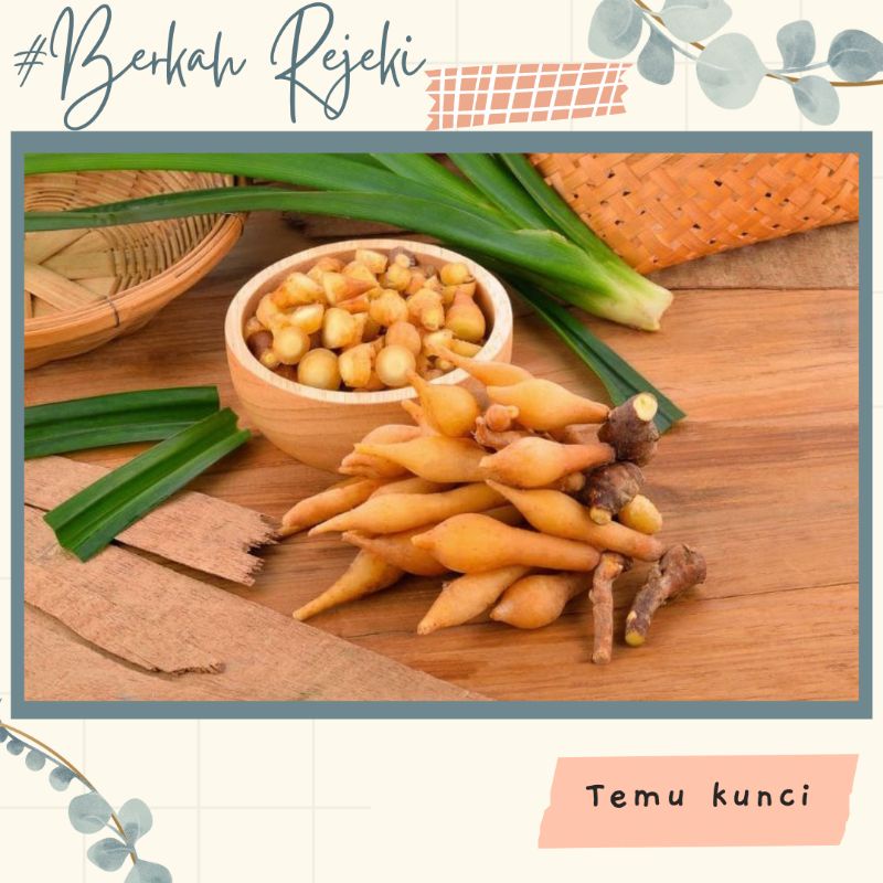 

temu kunci bumbu dapur paling murah kemasan 250gram