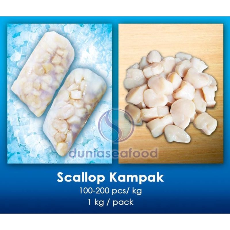 Jual Scallop Kampak/Kerang Kampak 1 kg/pack 100200 pcs/pack Shopee