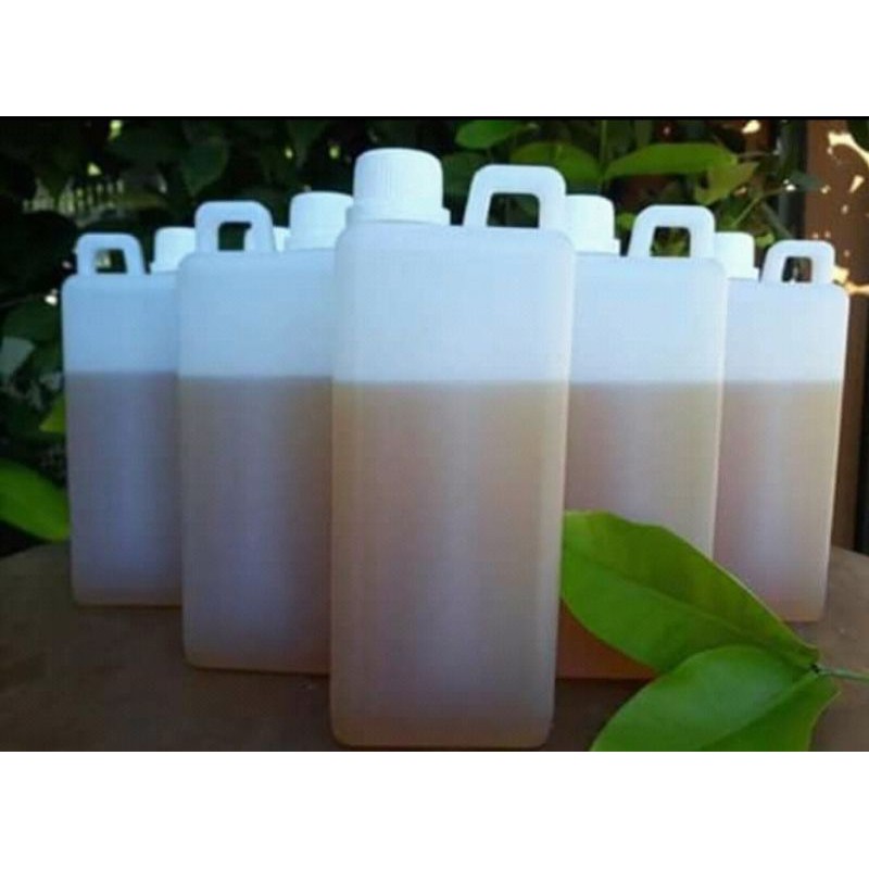 

Madu Murni Nektar Randu