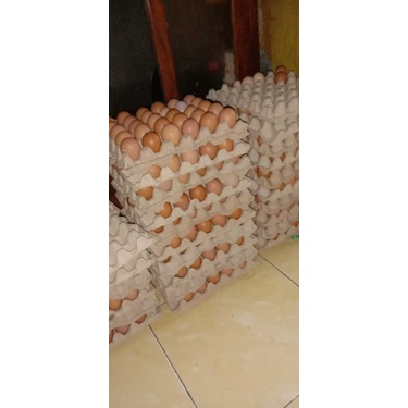 

telur ayam negeri isi 30 butir