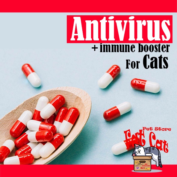 Obat Antivirus Kucing - Obat Virus kucing kapsul vitamin kucing