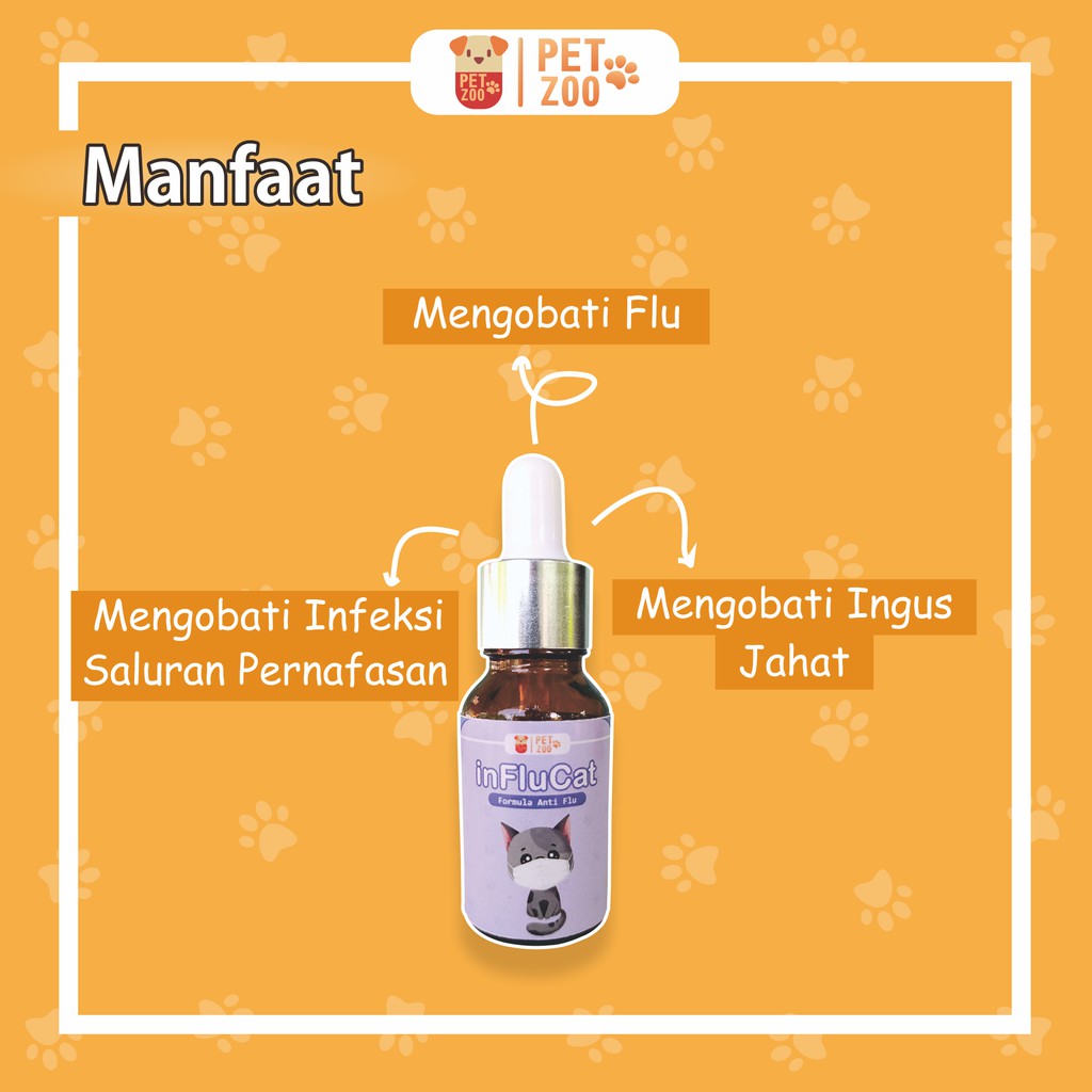 INFLUCAT Obat Flu Kucing Ampuh Obat Pilek Kucing Obat Demam Kucing Doxycat Obat Flucat Coldy Cat Flumax Kucing Obat Bersin Kucing Flu Cat Obat Demam Kucing Obat Batuk Flu Kucing Obat Flue Kucing Stop Flu Antibiotik Flu Kucing