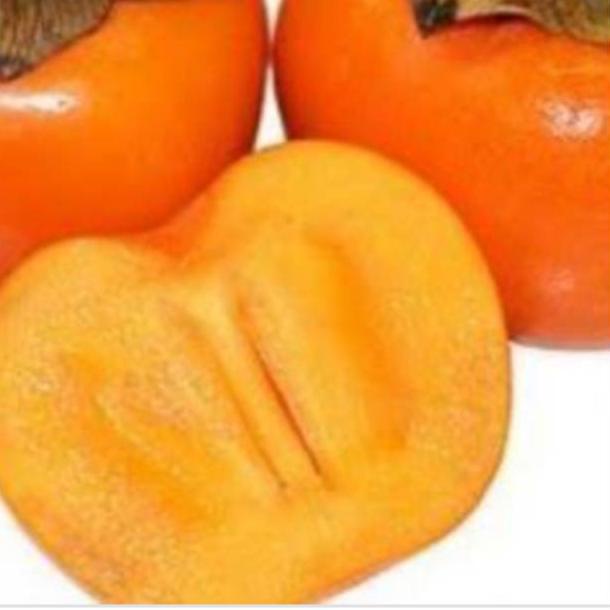 

[PRODUK 70SYJ] Buah kesemek berastagi 500gr WZT
