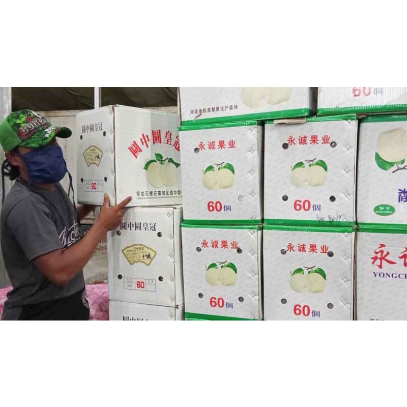 

kardus bekas buah pir pengganti dus box repening pisang cavendish