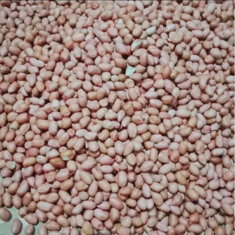 kacang tanah mentah 250 gram