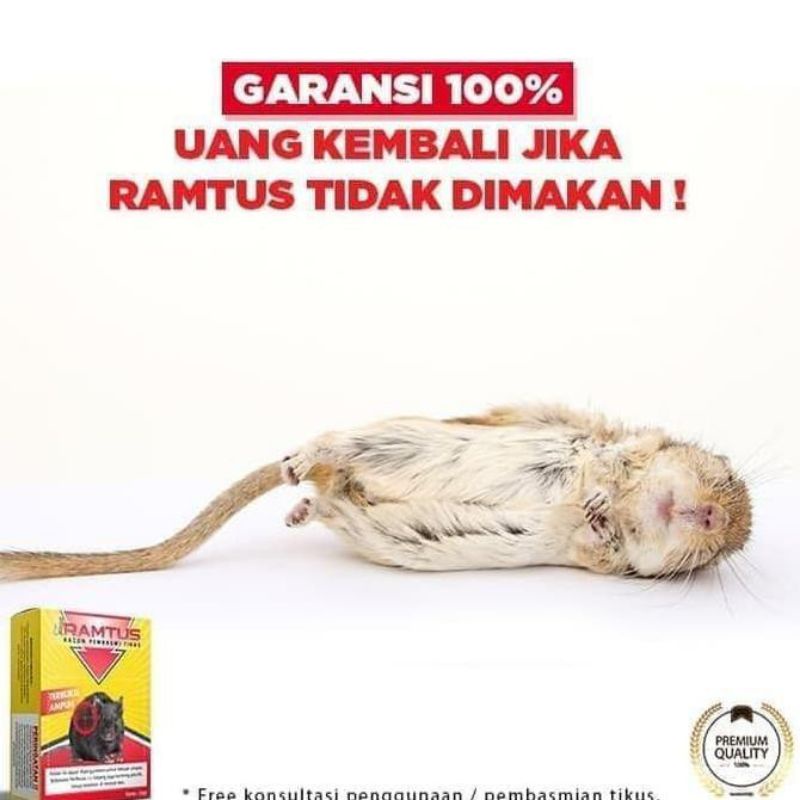 RAMTUS racun tikus ampuh bembasmi tikus