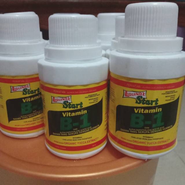 Vitamin B1 tanaman