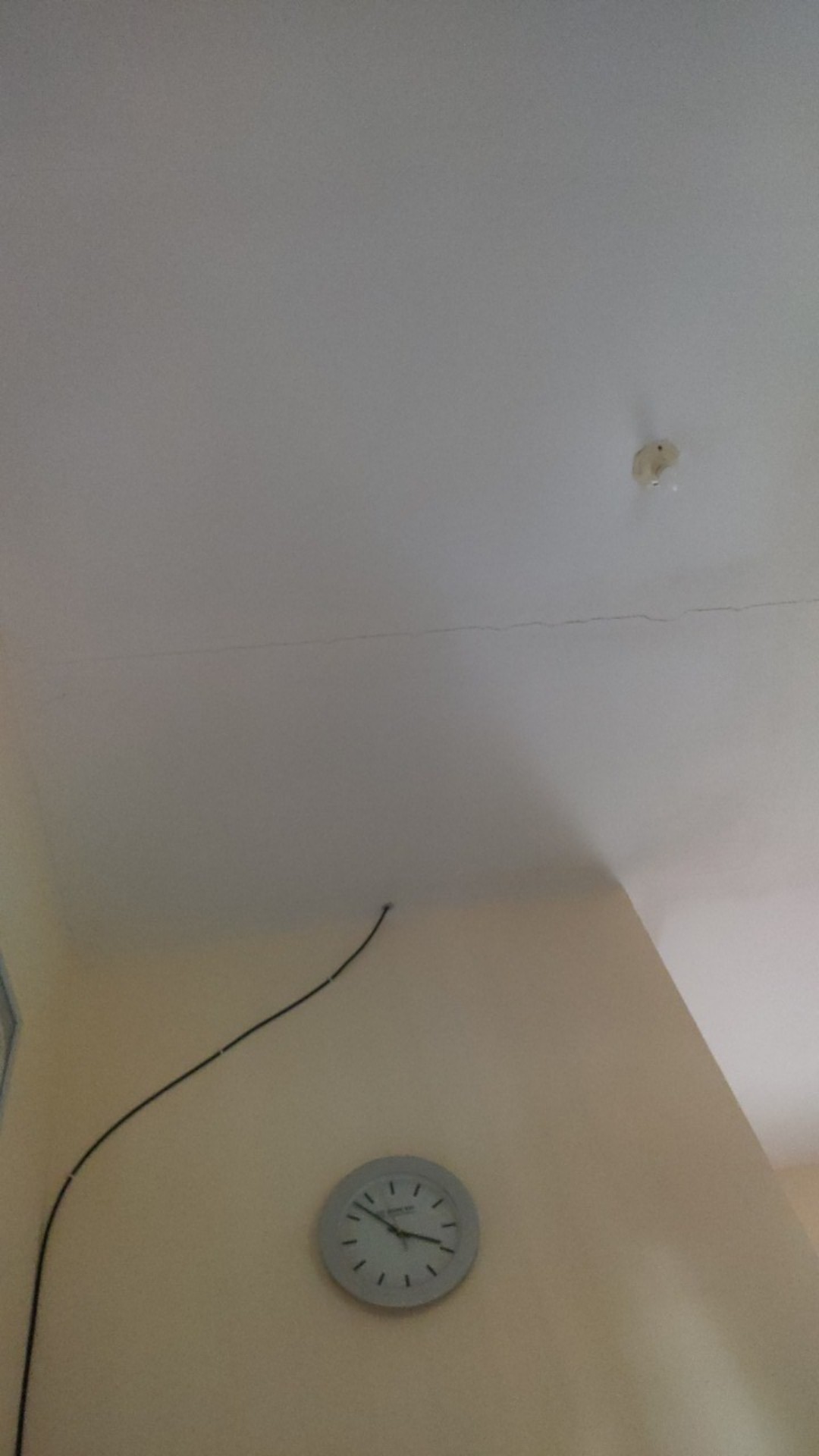 Cetakan Kue Semprit / Kue Kering Plastik Isi 4