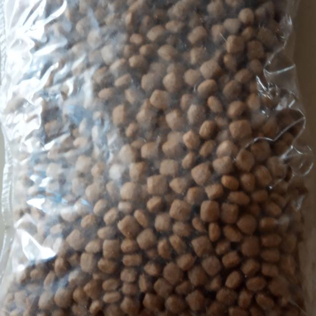 Makanan kucing ori cat