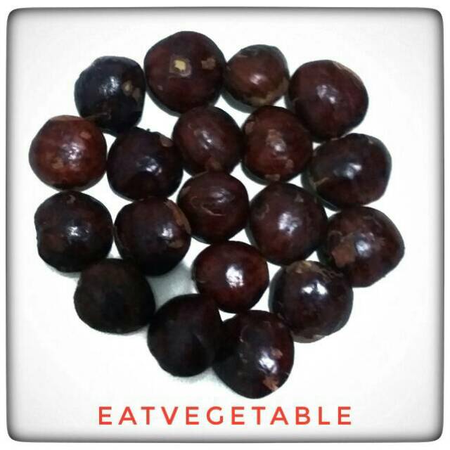 

Jengkol Tua (Belum direndam) 1 kg