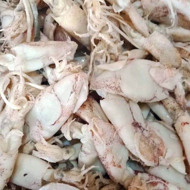 

BABY CUMI/TERMURAH/1KG