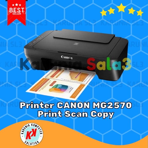Printer Canon Pixma MG2570 New