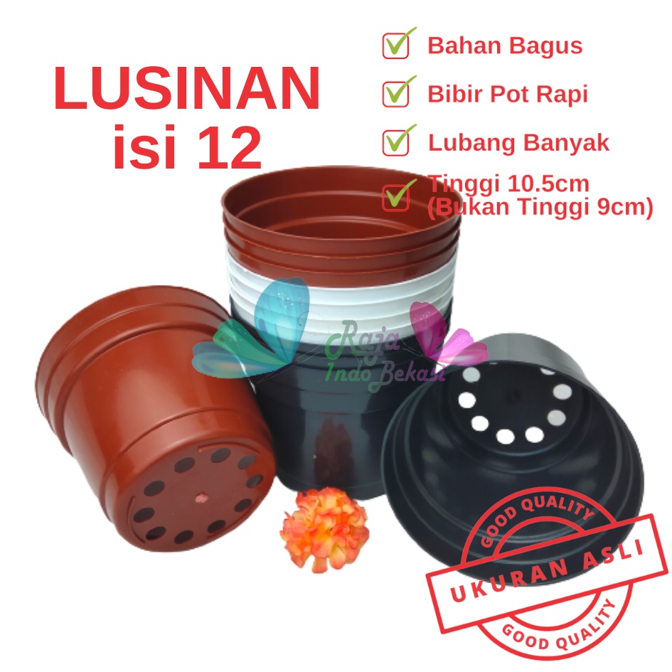 Rajaindobekasi LUSINAN 12PCS Pot 12 Cm Putih Hitam Merah Bata Merah Coklat Terracota Terracotta - Pot 12 Hitam Kecil Mini Minimalis Plastik Kaktus Sukulen Mini Murah Pot Bibit Pembibitan