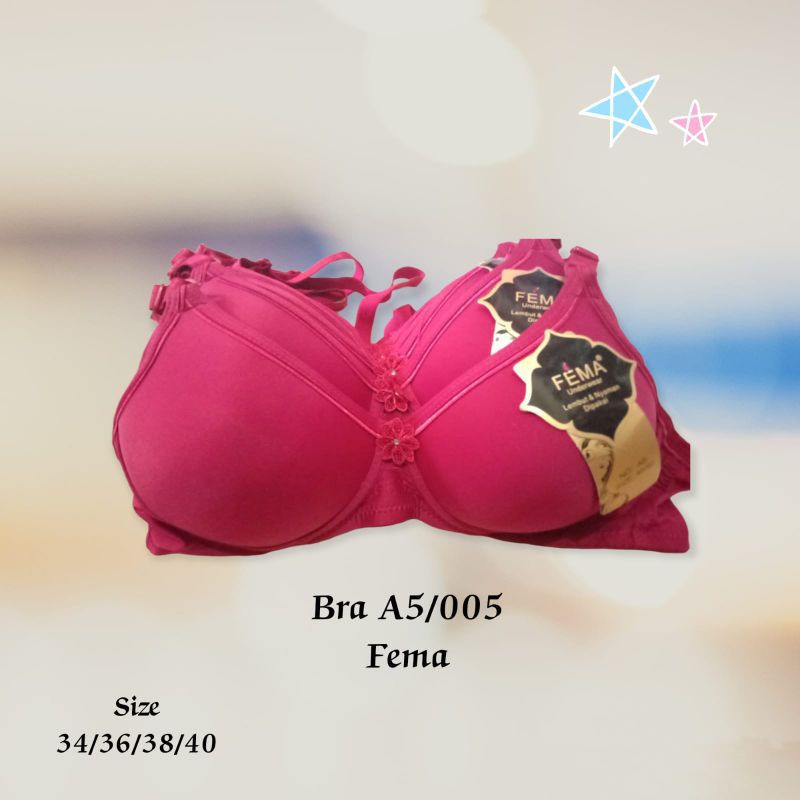 Ecer Bra Wanita A5/005 Fema, Pengait 2 Tanpa kawat import termurah
