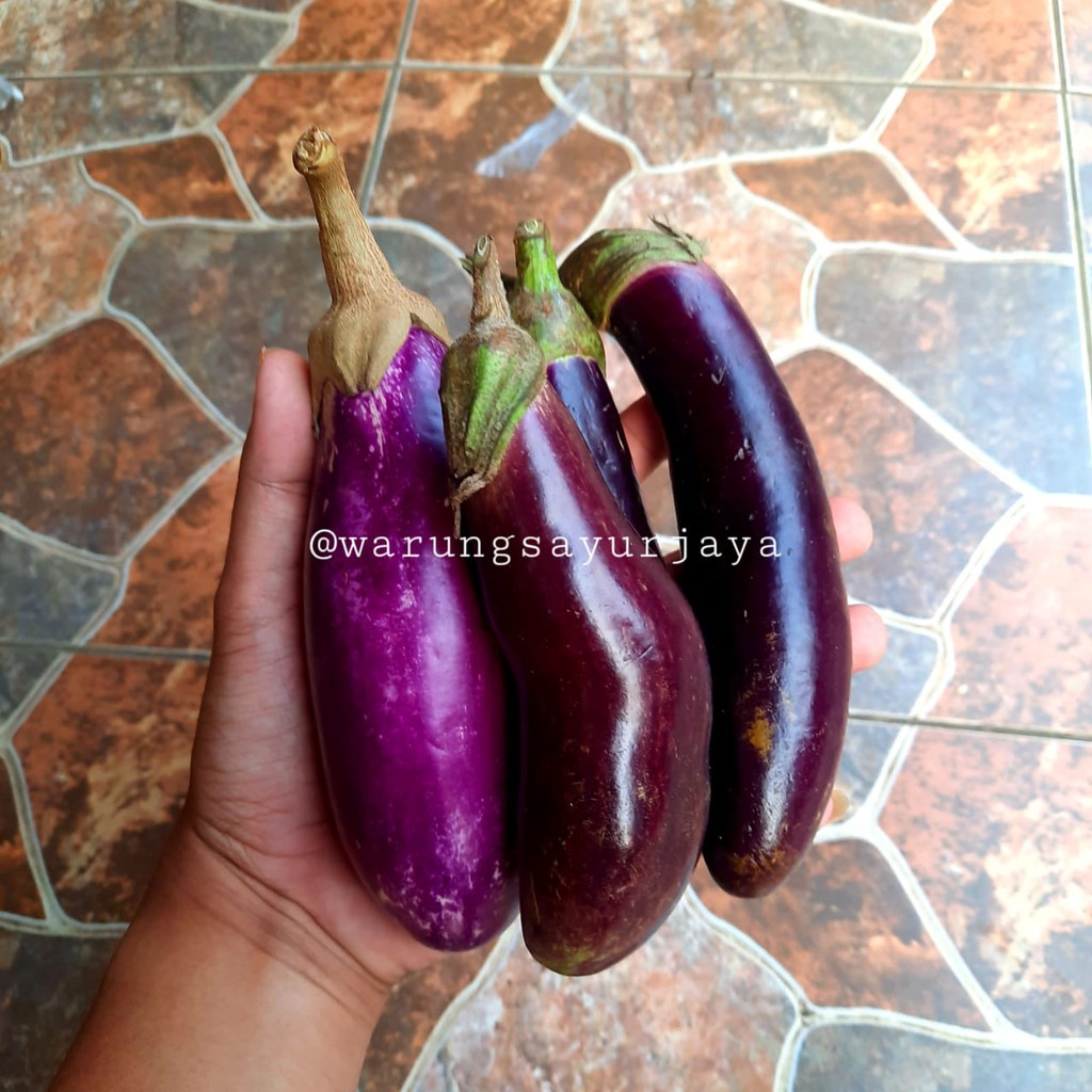 

Terong Ungu 500 gram