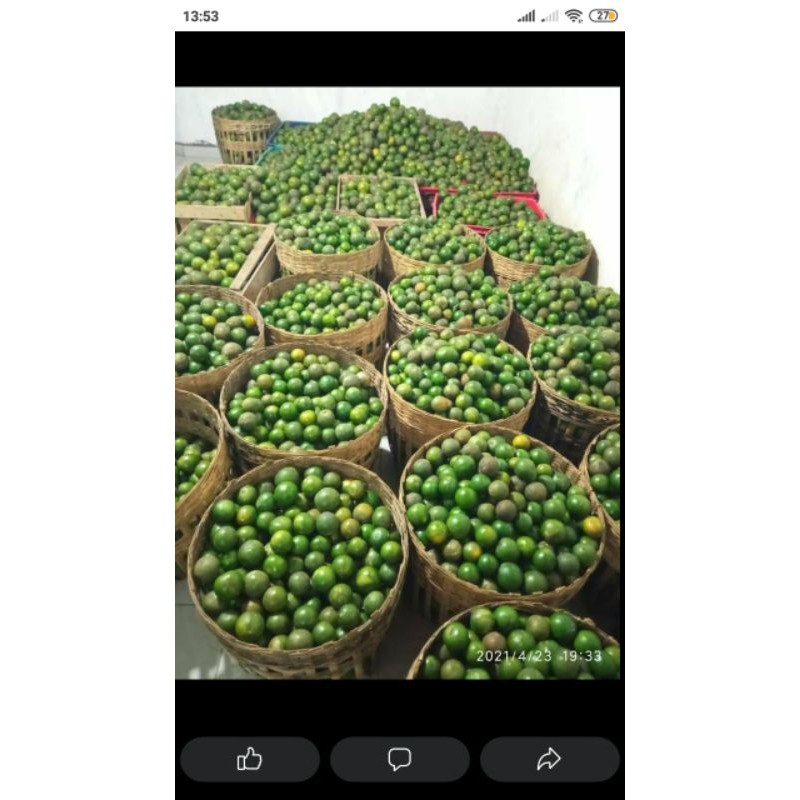 

jeruk peras fress kebun sendiri 1 kg