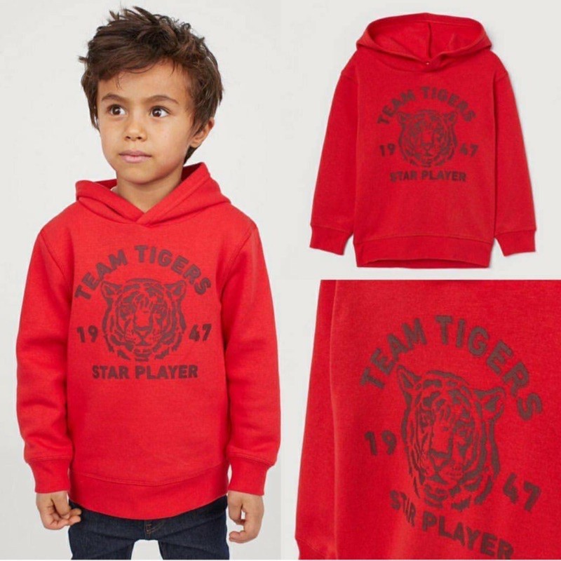 Jaket hoodie sweatshirt anak cowok laki-laki size 4-6 tahun branded r15