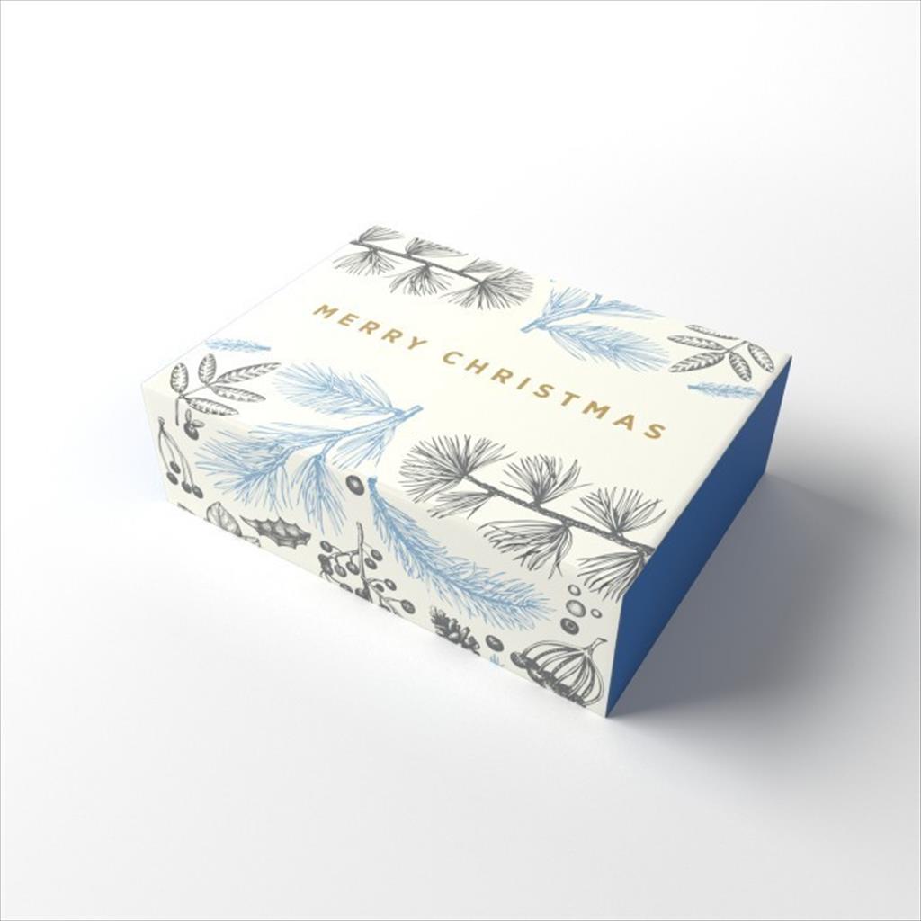 

HAIKARL Capricorn Design Box Natal / Christmas isi 20 - CPA 001