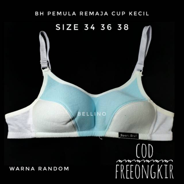 Bh Pemula Remaja Tanpa Kawat Busa Tipis 2 Warna Kait 2 Bra Wanita Abg Cup Kecil Bh Peralihan Miniset