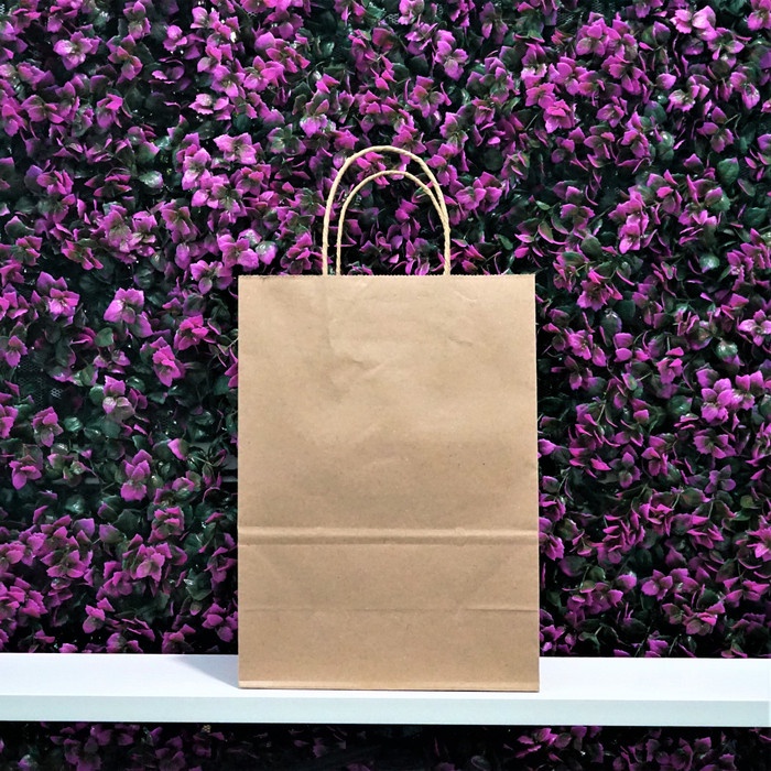 

NEW Paper Bag Coklat Polos Ecokraft - Kecil