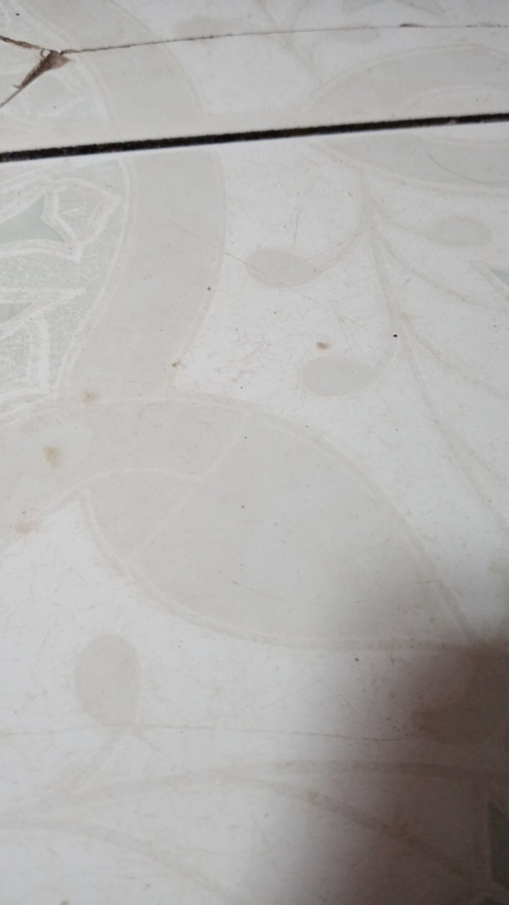 Tempat Sampah Meja Mini Karakter Tong Sampah Mobil Animal