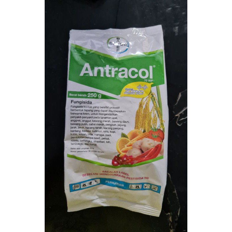 ANTRACOL 70 WP 250 Gram Fungisida Anti Jamur