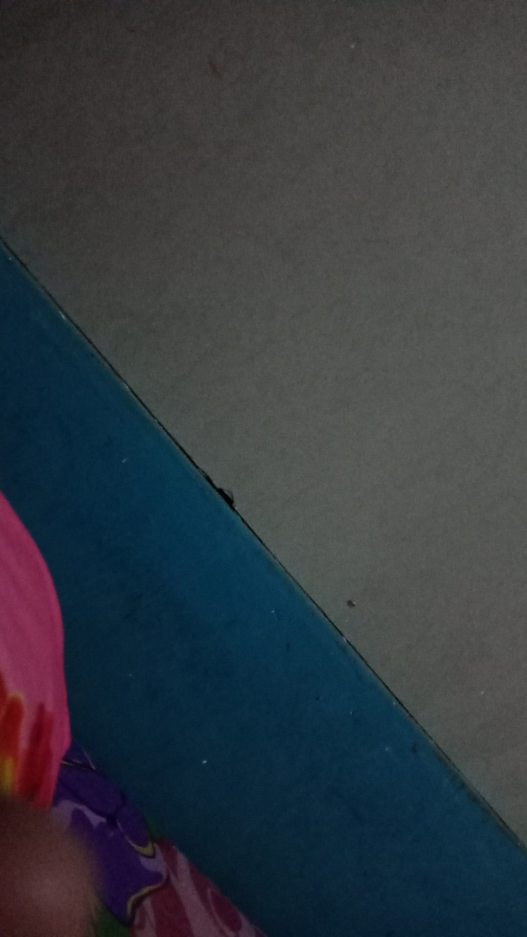 Seni Bonsai Indonesia