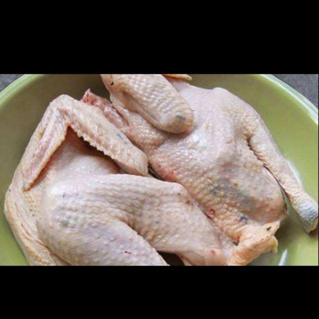 

Ayam kampung ukuran 850-900