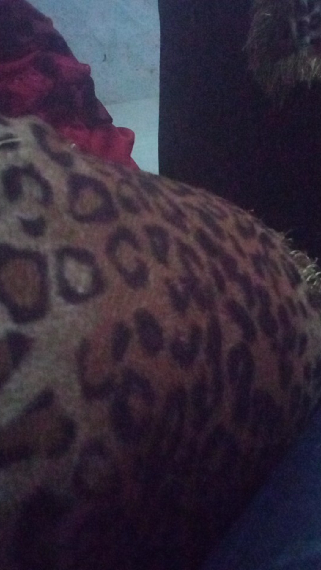 Kain Batik Sogan Kain Batik Atasan Batik Kain Batik Printing Kain Batik Katun Kain Batik Pekalongan