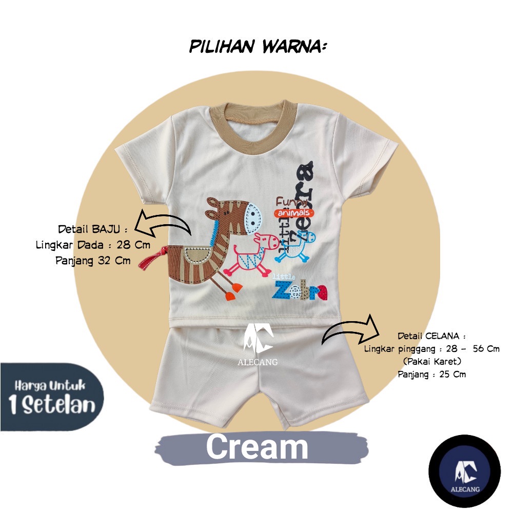 Setelan Pendek Baju Bayi Laki-laki size 6 - 12 Bulan Merk EDRYCA