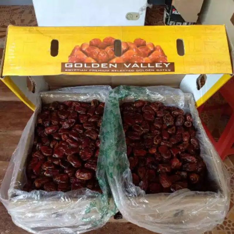 

Kurma Kholas Mesir Golden Valley Madu