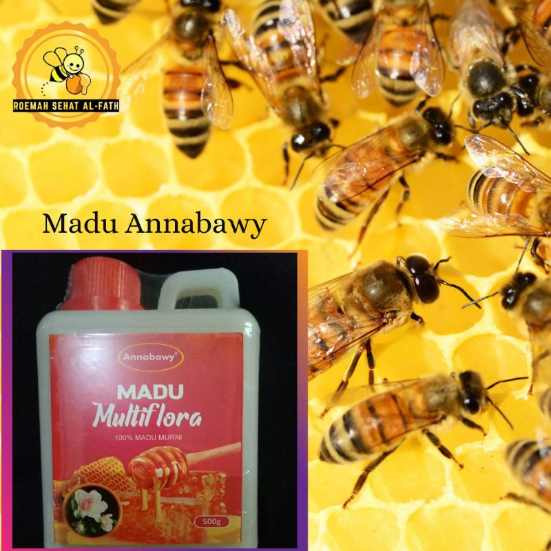 

Madu Annabawy Multiflora 500 gr - 1 Kg