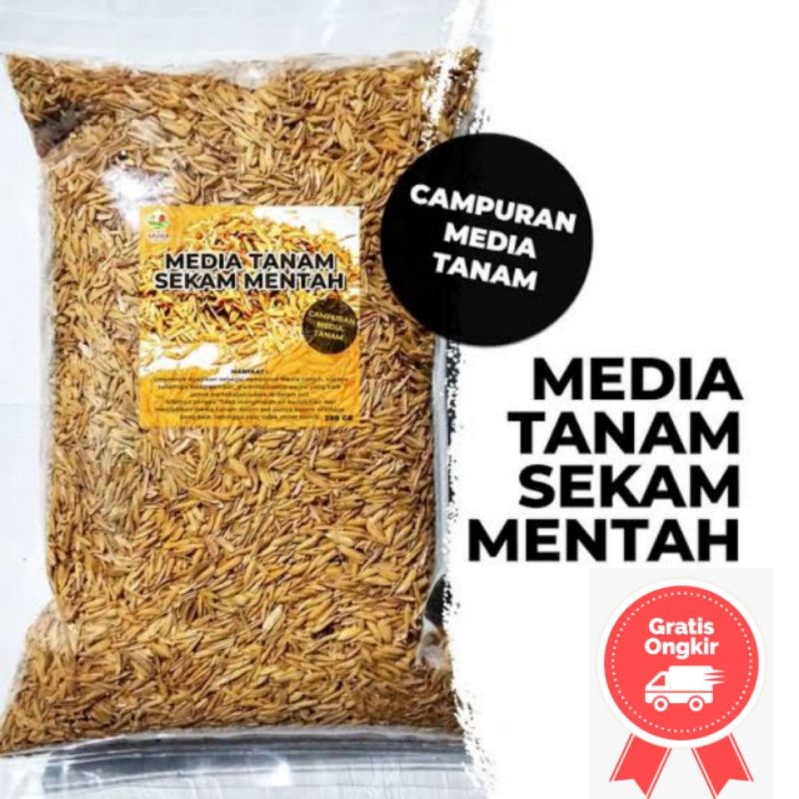 media tanam Sekam Padi Mentah ukuran 20gram