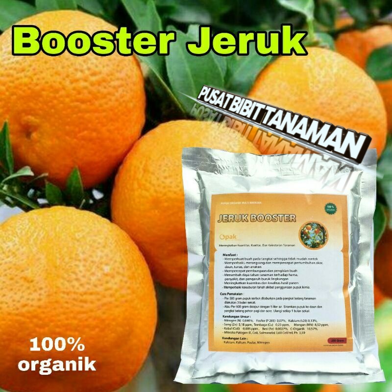 boster jeruk (perangsang buah jeruk)