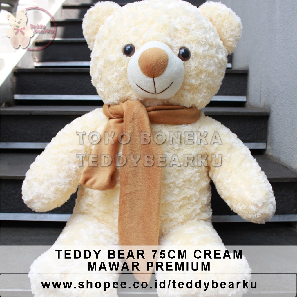 Boneka Teddy Bear XL 75CM Mawar Premium + Syal (Langka)