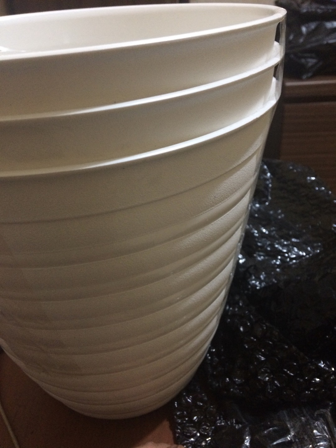Pot Bunga Tanaman Tawon Putih Tinggi 24cm - Pirus Asli