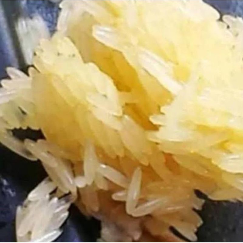 

Telur Bsf per 25gram