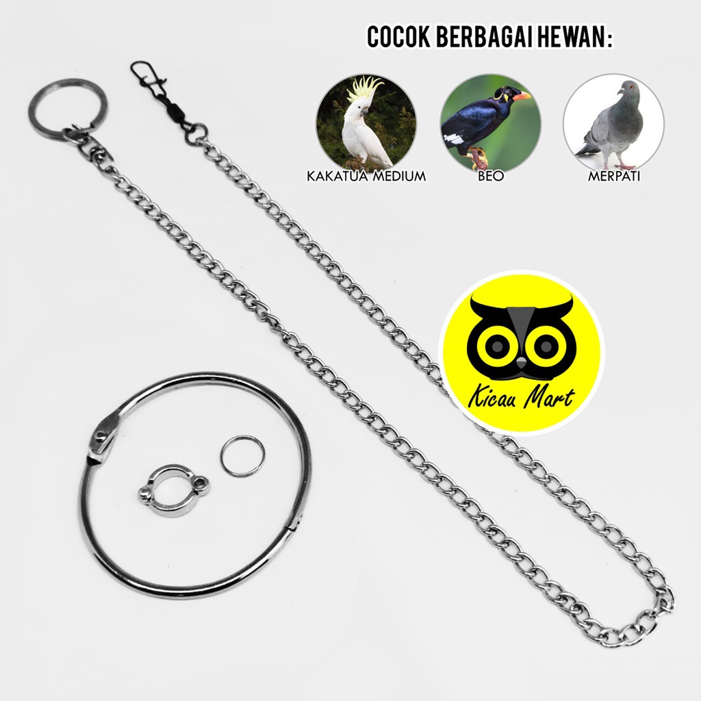 RANTAI FREE FLYING BURUNG KAKI KAKATUA MEDIUM BEO MERPATI AYAM SERAMA RANTAI FULLSET GELANG RING BORGOL 10 MM FF RANTAI GELANG KAKI BURUNG KAKA TUA RANTAI TRAINING LATIH BURUNG RTFL10M