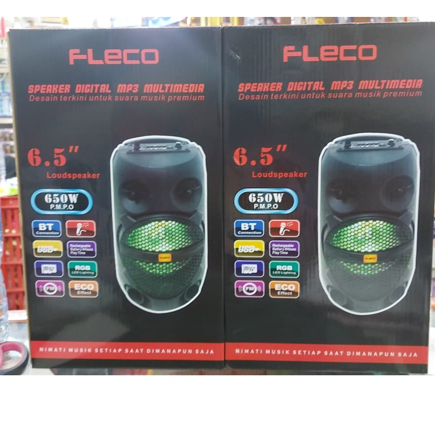 Speaker Bluetooth Karaoke Fleco 650W