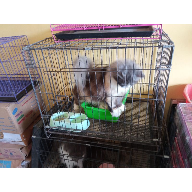 Kandang Kucing Ukuran L, Ukuran 60x40