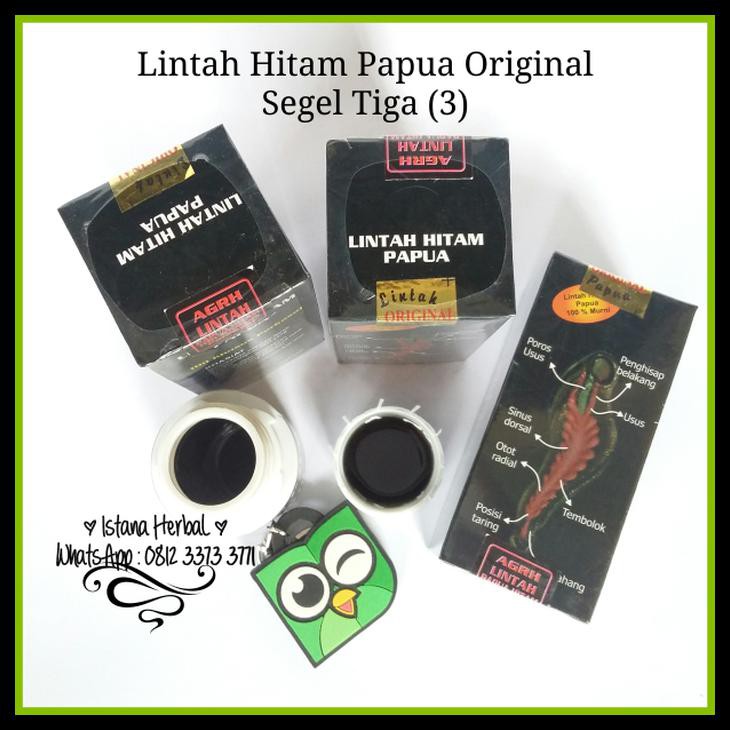 Minyak Lintah Hitam Papua Tahan Lama Original Hologram Gold Segel 3 Shopee Indonesia