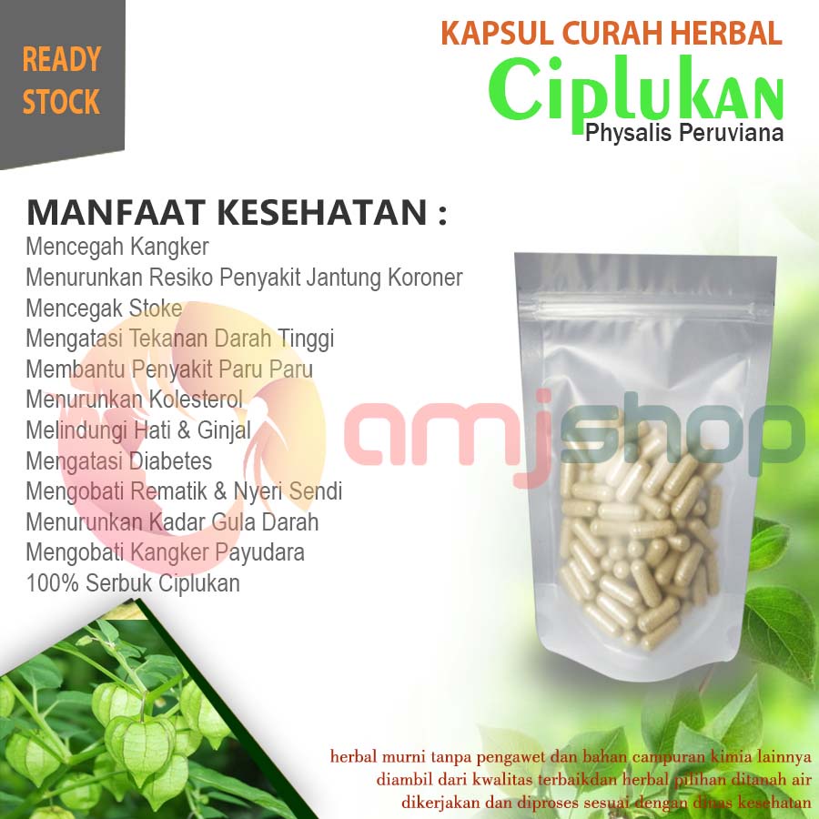 

KAPSUL CURAH HERBAL CIPLUKAN Menyembuhkan Flu & Batuk Panas Demam Saluran Pernapasan Penyakit Kulit Kesehatan Kulit Penuaan Dini Diet Antioksidan Kaya Vitamin K Penawar Racun