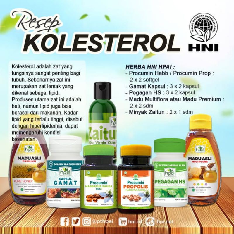 Resep Herbal Kolestrol Hni Hpai Shopee Indonesia