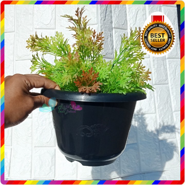 Pot Mahkota 20 Cm Hitam - Madu 20 Putih Pot Bunga Tanaman Bibit - Bukan Pot Glory Putih Tawon 20 Cm