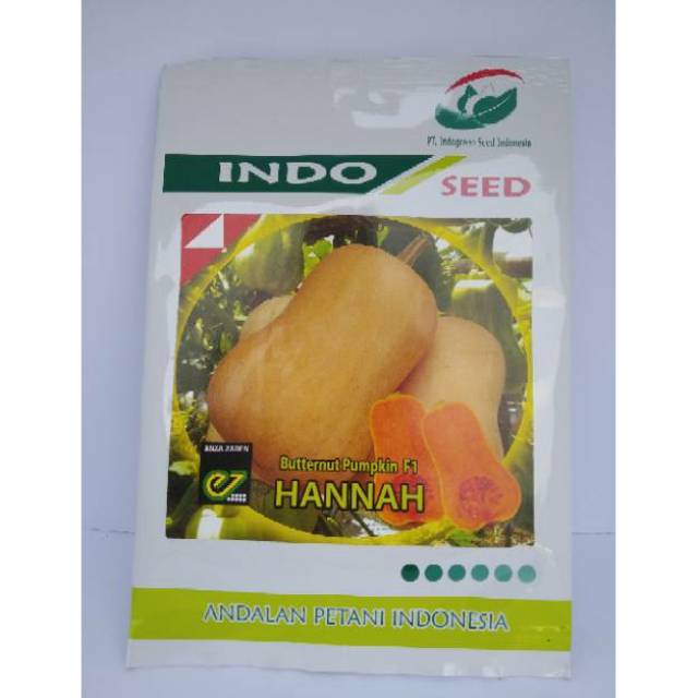 BENIH LABU MADU / BUTTERNUT HANNAH F1 ENZA ZADEN BELANDA - INDOSEED