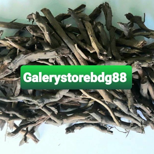 

Paket 250 gram akar aren kering akar pohon aren kering-az