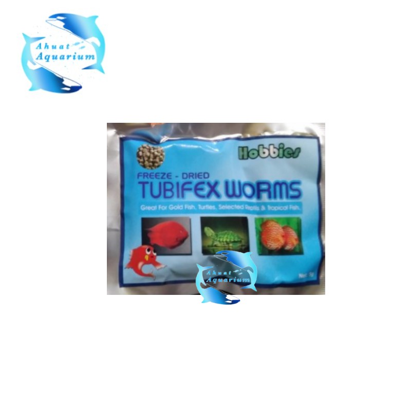 CACING KERING HOBBIES TUBIFEX WORMS