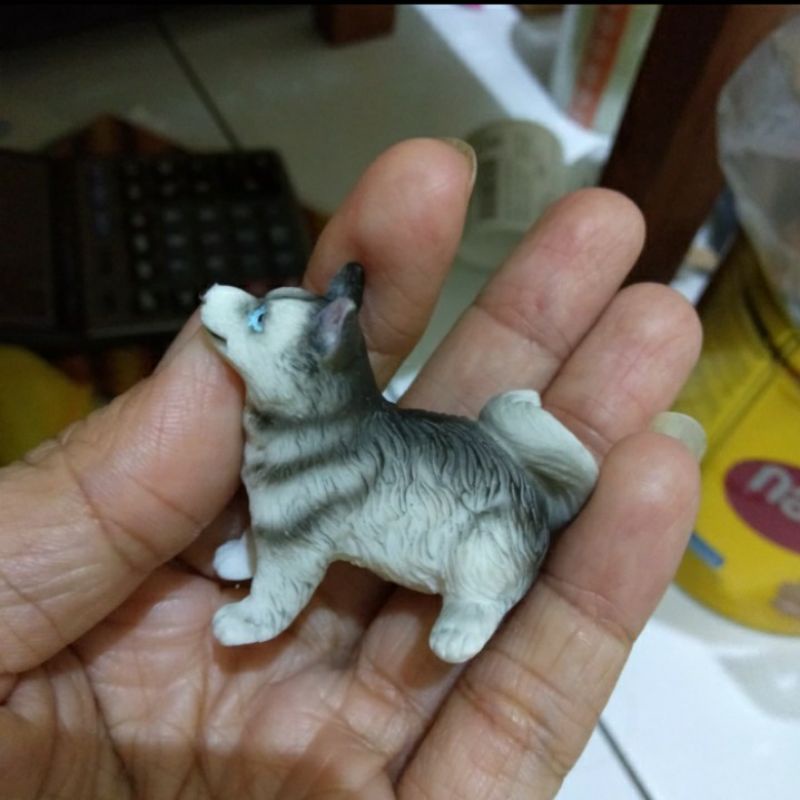 Miniatur Anak Anjing Siberian Husky