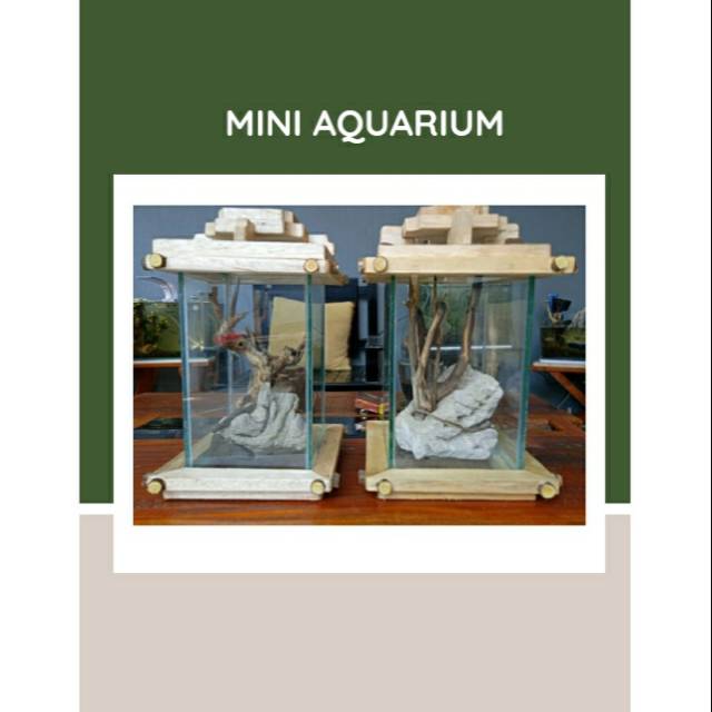 Aquarium soliter Cupang (Tutup + tatakan ornamen kayu)