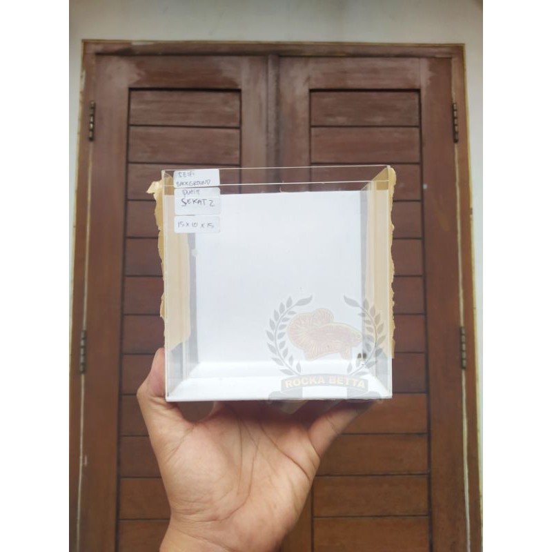 SOLITER AKRILIK LIVE LELANG CUPANG BETTAFISH TERMURAH